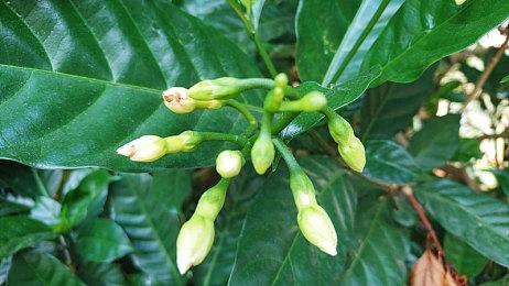 DSOGaming评选出2022年度优化最差PC游戏