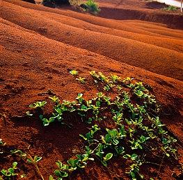 《GTA6》预告网友吐槽女主太色了 一直在骚扰男主